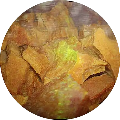 전립선 암 조기 발견