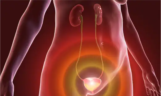 비뇨기과 전문의가 환자의 증상을 파악하고 검사를 진행합니다.