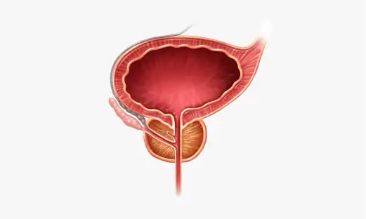 비뇨기과 전문의가 환자의 증상을 파악하고 검사를 진행합니다.