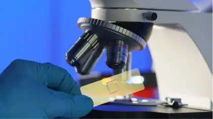 전립선 암 조기 발견