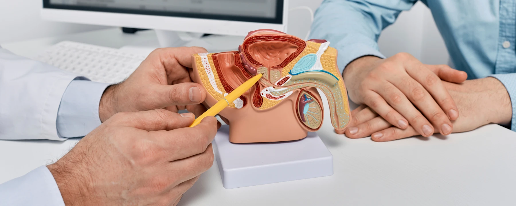 전립선클리닉-메인이미지