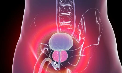 비뇨기과 전문의가 환자의 증상을 파악하고 검사를 진행합니다.