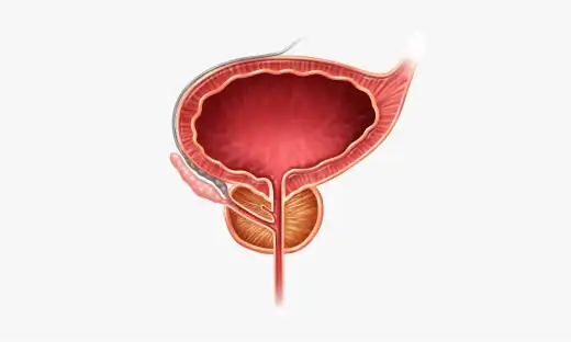 비뇨기과 전문의가 환자의 증상을 파악하고 검사를 진행합니다.