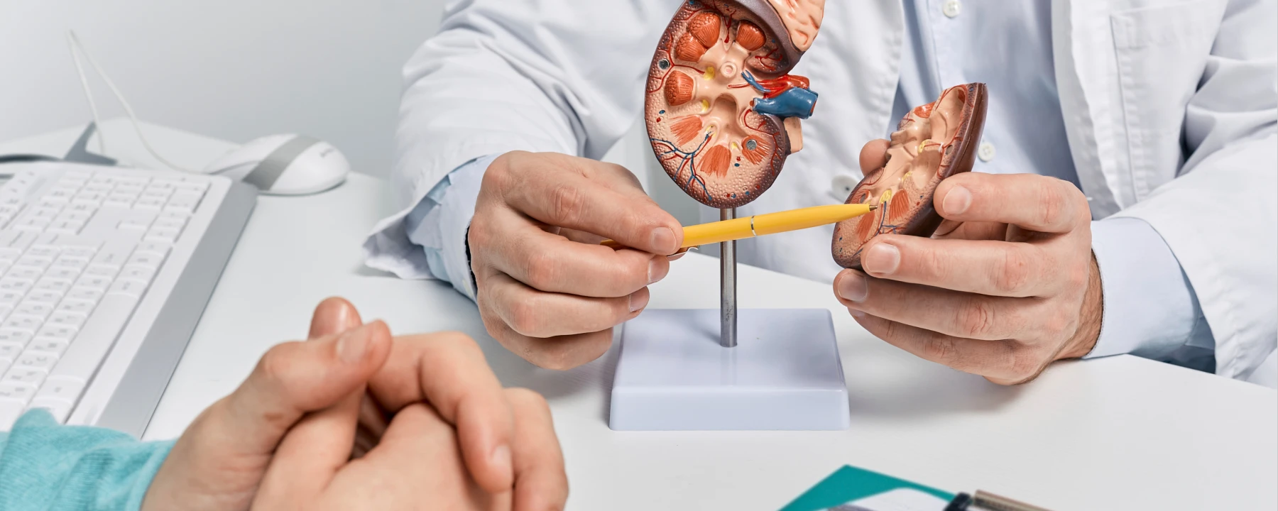 요로결석클리닉-메인이미지