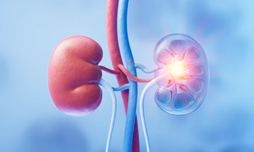 비뇨기과 전문의가 환자의 증상을 파악하고 검사를 진행합니다.