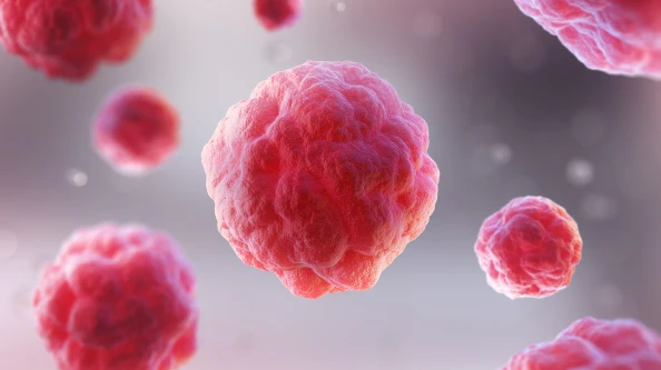 전립선 암 조기 발견