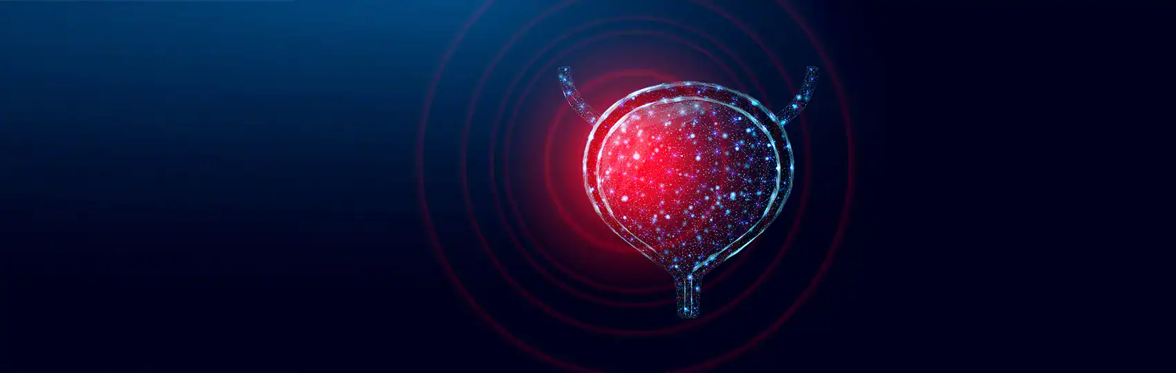 비뇨의학과 전문의가 환자에게 초음파 검사를 시행하며 질환을 진단하는 모습