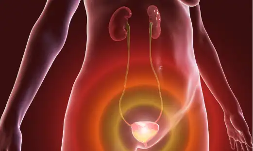 비뇨기과 전문의가 환자의 증상을 파악하고 검사를 진행합니다.